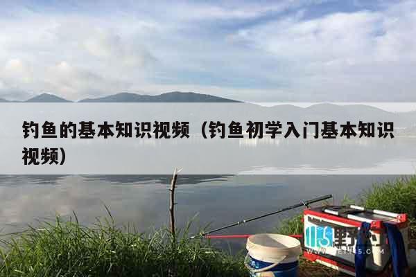 钓鱼的基本知识视频（钓鱼初学入门基本知识视频）
