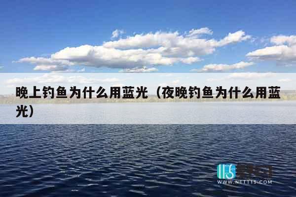 晚上钓鱼为什么用蓝光（夜晚钓鱼为什么用蓝光）