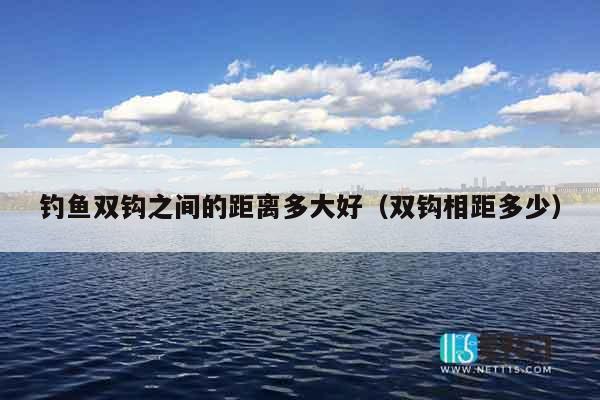 钓鱼双钩之间的距离多大好（双钩相距多少）
