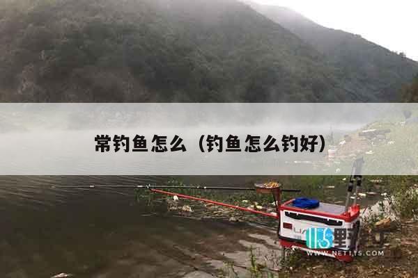 常钓鱼怎么（钓鱼怎么钓好）