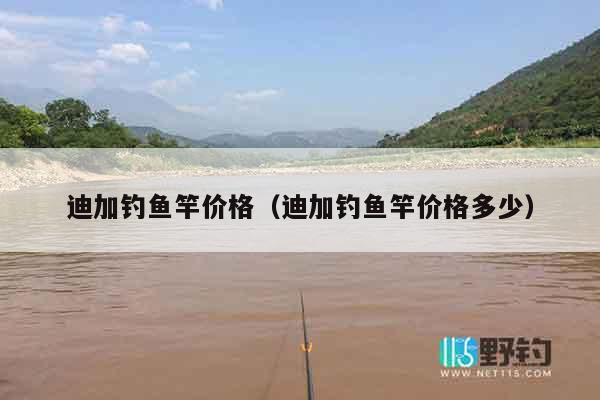 迪加钓鱼竿价格（迪加钓鱼竿价格多少）