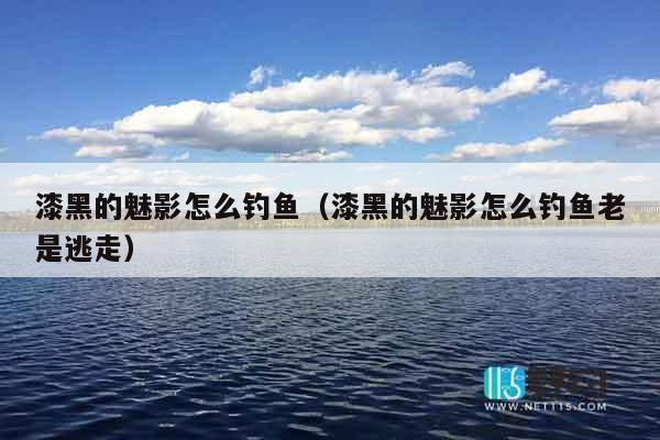漆黑的魅影怎么钓鱼（漆黑的魅影怎么钓鱼老是逃走）