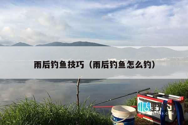 雨后钓鱼技巧（雨后钓鱼怎么钓）