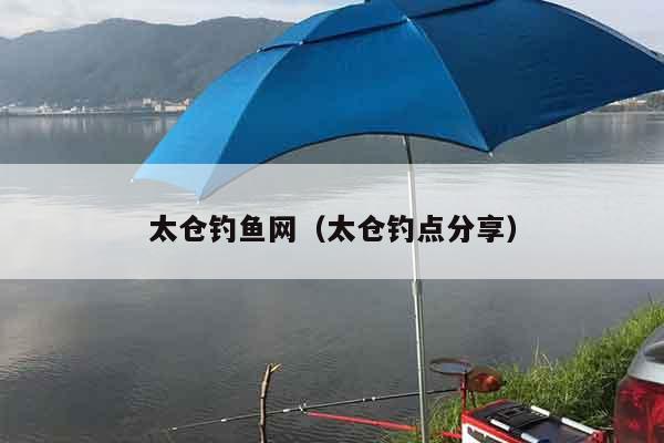 太仓钓鱼网（太仓钓点分享）