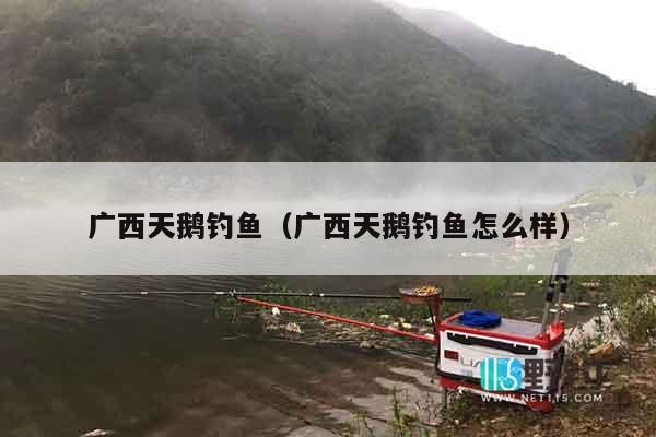 广西天鹅钓鱼（广西天鹅钓鱼怎么样）