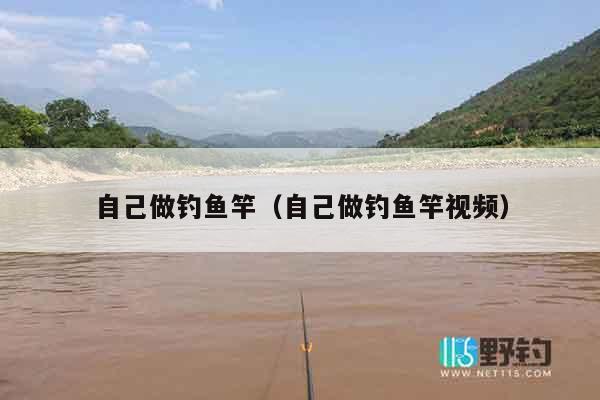 自己做钓鱼竿（自己做钓鱼竿视频）