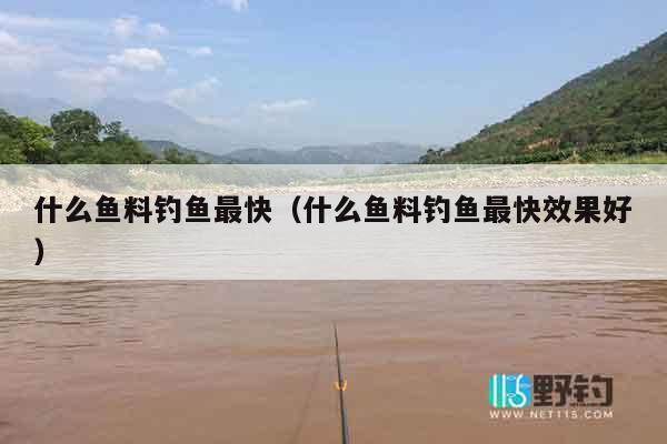 什么鱼料钓鱼最快（什么鱼料钓鱼最快效果好）