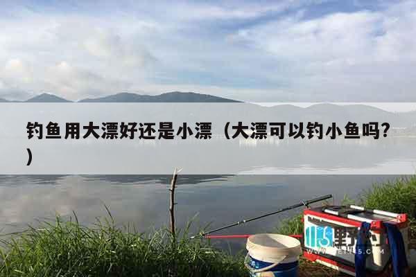 钓鱼用大漂好还是小漂（大漂可以钓小鱼吗?）
