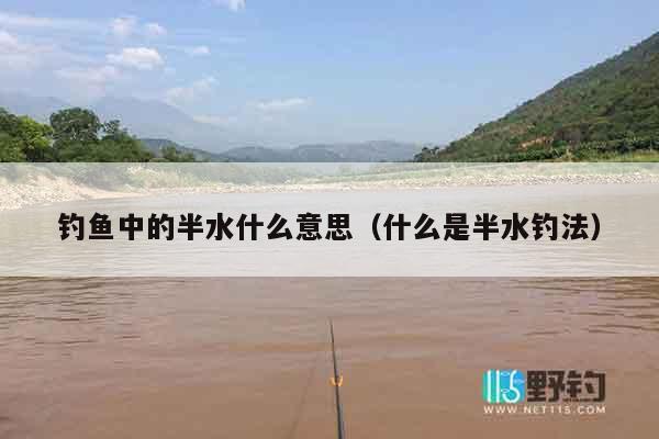 钓鱼中的半水什么意思（什么是半水钓法）