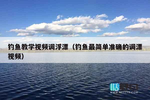 钓鱼教学视频调浮漂（钓鱼最简单准确的调漂视频）