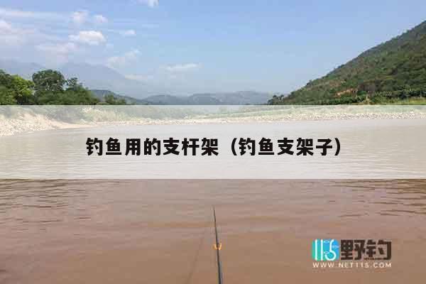 钓鱼用的支杆架（钓鱼支架子）