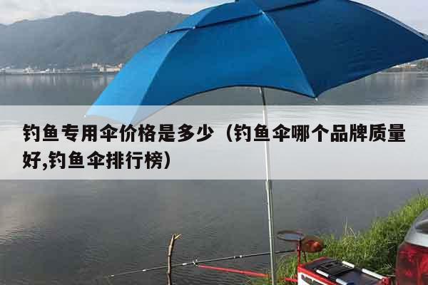 钓鱼专用伞价格是多少（钓鱼伞哪个品牌质量好,钓鱼伞排行榜）