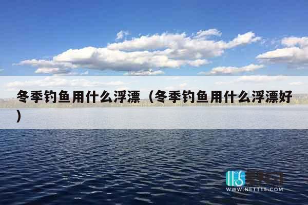 冬季钓鱼用什么浮漂（冬季钓鱼用什么浮漂好）
