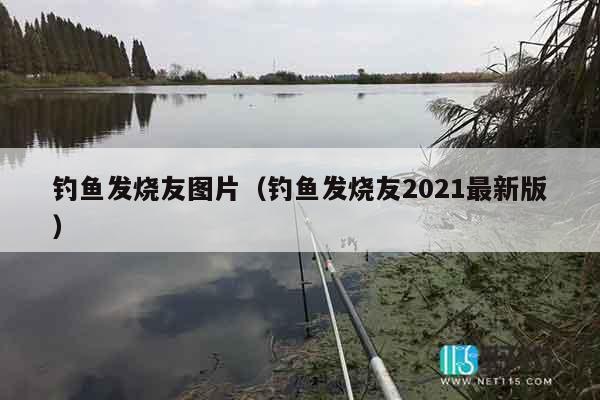 钓鱼发烧友图片（钓鱼发烧友2021最新版）