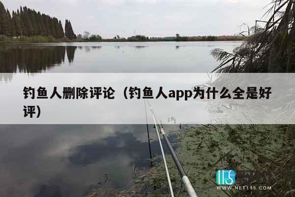 钓鱼人删除评论（钓鱼人app为什么全是好评）