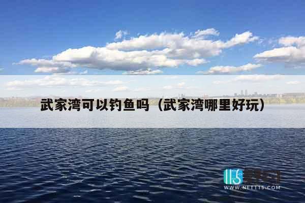 武家湾可以钓鱼吗（武家湾哪里好玩）