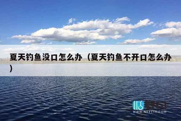 夏天钓鱼没口怎么办（夏天钓鱼不开口怎么办）