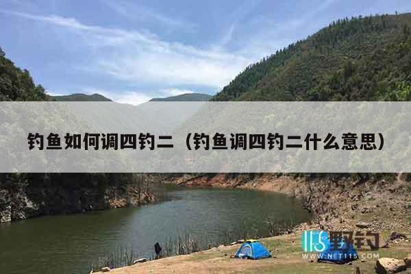 钓鱼如何调四钓二（钓鱼调四钓二什么意思）