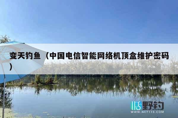 变天钓鱼（中国电信智能网络机顶盒维护密码）