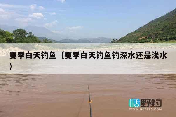 夏季白天钓鱼（夏季白天钓鱼钓深水还是浅水）