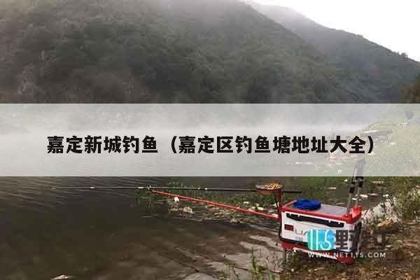 嘉定新城钓鱼（嘉定区钓鱼塘地址大全）