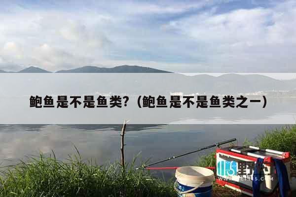 鲍鱼是不是鱼类?（鲍鱼是不是鱼类之一）