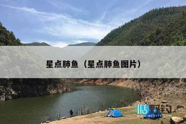 星点肺鱼（星点肺鱼图片）