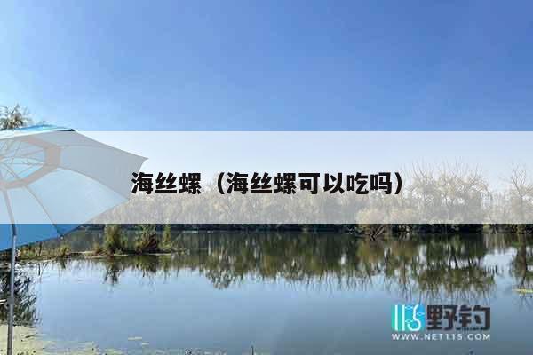 海丝螺（海丝螺可以吃吗）