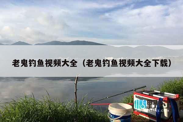老鬼钓鱼视频大全（老鬼钓鱼视频大全下载）