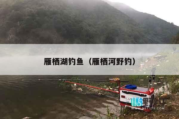 雁栖湖钓鱼（雁栖河野钓）