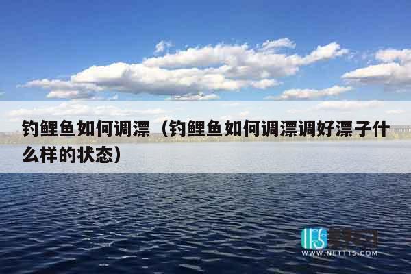 钓鲤鱼如何调漂（钓鲤鱼如何调漂调好漂子什么样的状态）