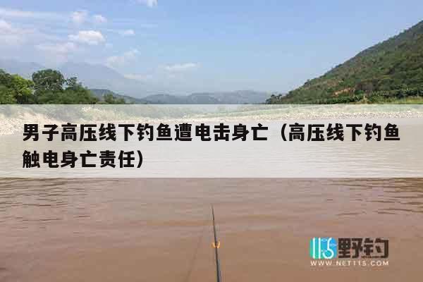 男子高压线下钓鱼遭电击身亡（高压线下钓鱼触电身亡责任）
