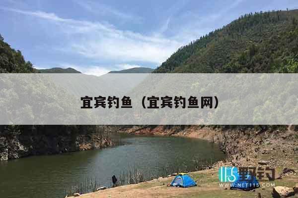 宜宾钓鱼（宜宾钓鱼网）