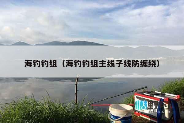 海钓钓组（海钓钓组主线子线防缠绕）
