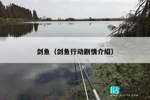 剑鱼（剑鱼行动剧情介绍）