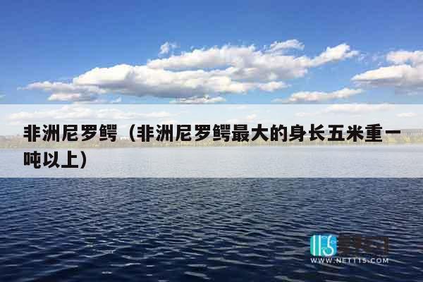 非洲尼罗鳄（非洲尼罗鳄最大的身长五米重一吨以上）