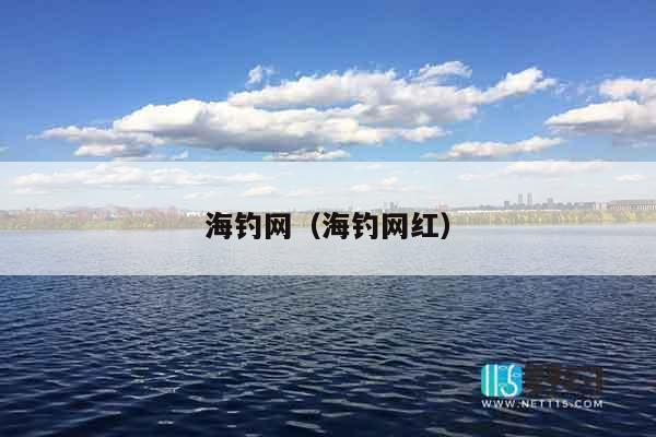 海钓网（海钓网红）