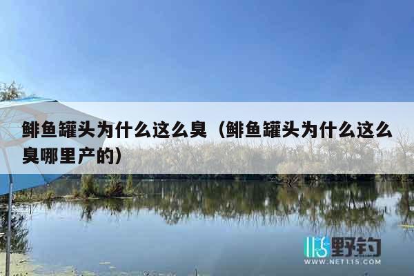 鲱鱼罐头为什么这么臭（鲱鱼罐头为什么这么臭哪里产的）