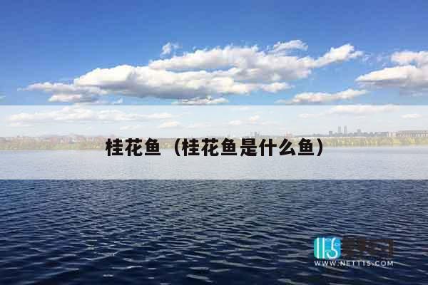 桂花鱼（桂花鱼是什么鱼）