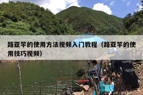 路亚竿的使用方法视频入门教程（路亚竿的使用技巧视频）