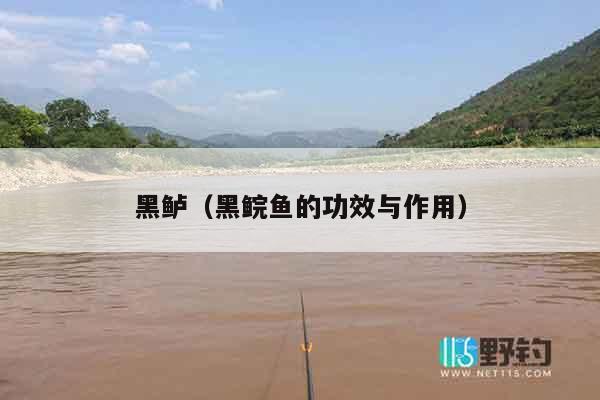 黑鲈（黑鲩鱼的功效与作用）