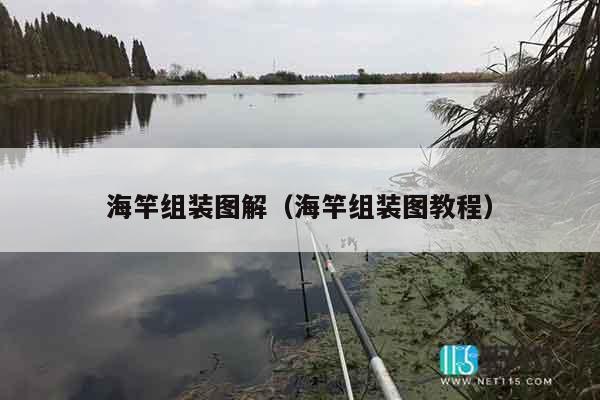 海竿组装图解（海竿组装图教程）