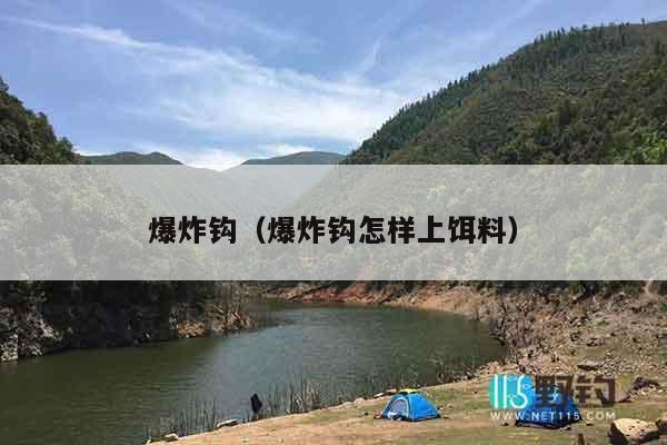 爆炸钩（爆炸钩怎样上饵料）