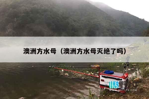 澳洲方水母（澳洲方水母灭绝了吗）