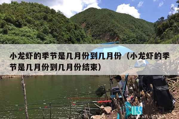 小龙虾的季节是几月份到几月份（小龙虾的季节是几月份到几月份结束）