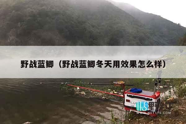 野战蓝鲫（野战蓝鲫冬天用效果怎么样）