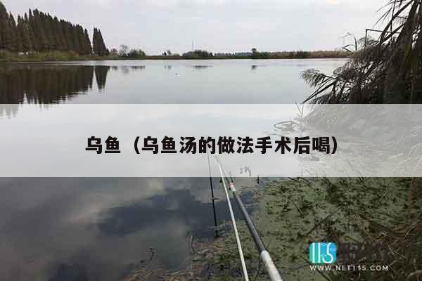 乌鱼（乌鱼汤的做法手术后喝）