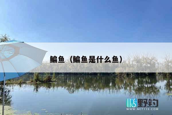 鳊鱼（鳊鱼是什么鱼）