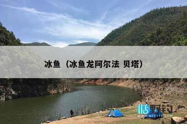 冰鱼（冰鱼龙阿尔法 贝塔）