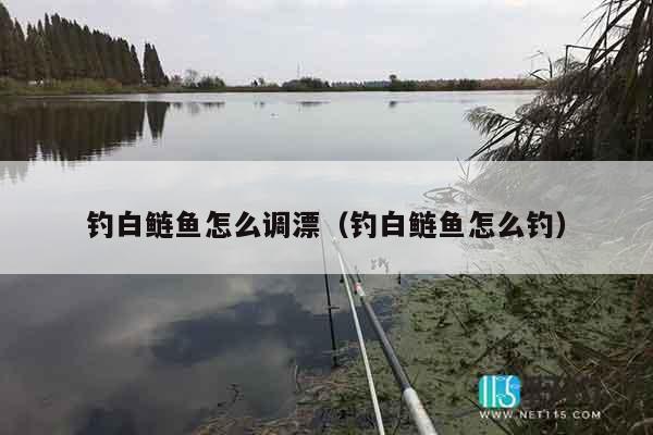 钓白鲢鱼怎么调漂（钓白鲢鱼怎么钓）